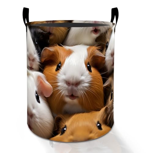 Guinea Pig Laundry Basket Hamper for Boys Girls Kids Adults, Foldable Waterproof Oxford Clothes Storage Bin, Cute Pet Organizer for Bedroom Bathroom Room Decor 19.7"x15.8" - style: Guinea Pig