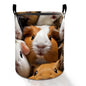 Guinea Pig Laundry Basket Hamper for Boys Girls Kids Adults, Foldable Waterproof Oxford Clothes Storage Bin, Cute Pet Organizer for Bedroom Bathroom Room Decor 19.7"x15.8" - style: Guinea Pig
