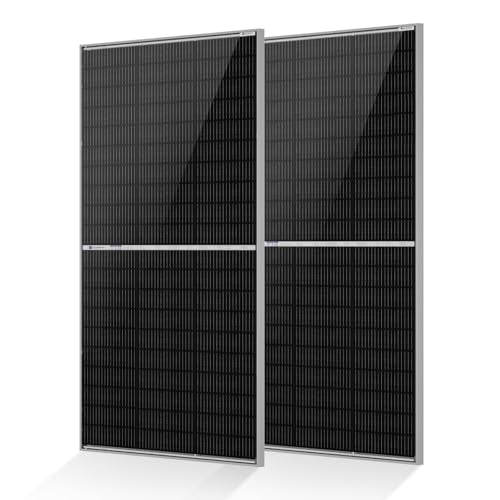 ECO-WORTHY N-Type 18BB 390 Watt Bifacial Solar Panel, 2Pcs 195 Watt Solar Panel 12 V, 25% High-Efficiency, 6-Zone Matrix Anti-Shade Design, Ideal for RV Marine Roof Farm Home Off-Grid Syatems - style: 195W N-Type 2-Pack Solar Panel