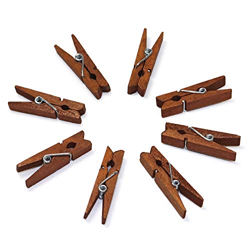 Mini Natural Wooden Clothespins with Jute Twine, 100pcs, 1.4 Inch Photo Paper Peg Pin Craft Clips with 320ft Natural Twine for Scrapbooking, Arts & Crafts, Hanging Photos (Rustic Brown) - color: Rustic Brown