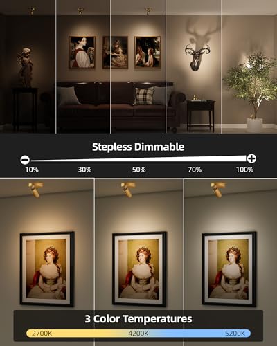 EZVALO LED Spotlight Indoor, 5500mAh Rechargeable Battery-Powered Picture Lights, Wireless Mini Art Accent Spot Lights with Remote, for Plants, Display, Painting, Artwork (4-Pack-Gold) - color: Gold