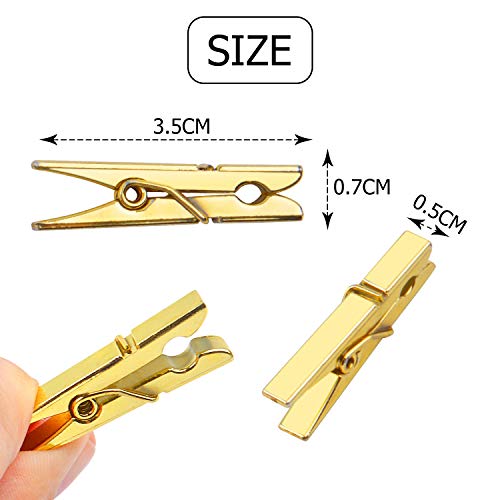 Jdesun 50 Pieces Photo Clips,Mini Plastic Picture Paper Clip Clothespins Peg for Office,Home,Arts(Gold) - color: Gold