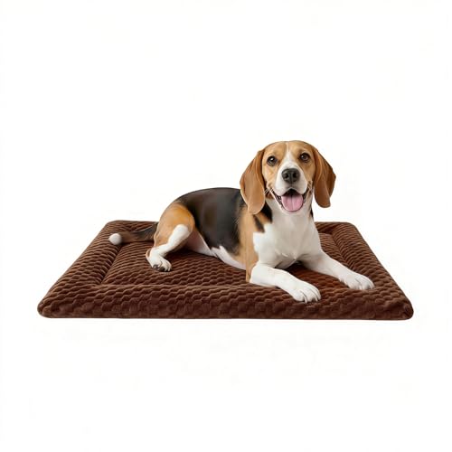 Dog Bed Mat, Dual-Sided Dog Crate Bed Mat - Ultra Soft & Machine Washable Kennel Pad for Medium Dogs, All-Season Comfort Pet Bed for Crates, Travel, and Home, Brown, 30 x 18 Inch - color: Brown, size: Medium 30 x 18 x 1.5 in