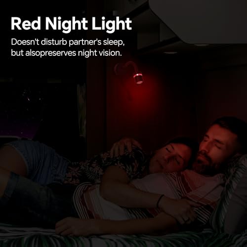 acegoo 12V LED Reading Light, RV Dimmable Reading Lamp with 20W USB-C Charger Red Nightlight & Steel Flexible Neck Light for Boat Camper Van Trailer Interior, Surface Mount, 2-Pack (Standard)