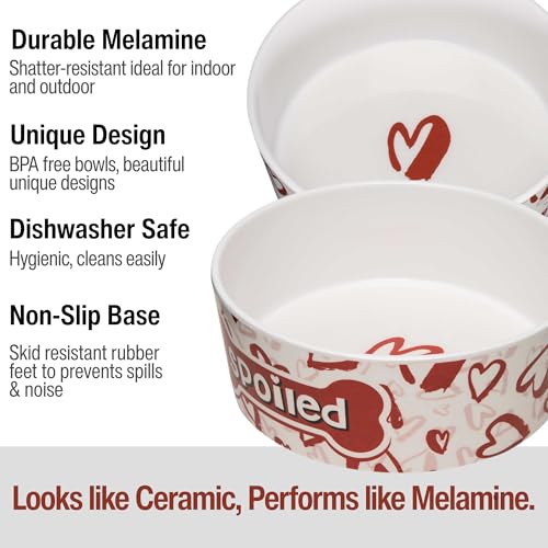 Loving Pets Dolce Moderno Ceramic Look Dog Bowl – Modern Melamine Dog Food Bowl & Dog Water Bowl – Durable, Non-Slip Pet Dish for Small & Medium Dogs – Dishwasher Safe Dog Bowl (Large, 47 oz) - color: Spoiled, size: Large