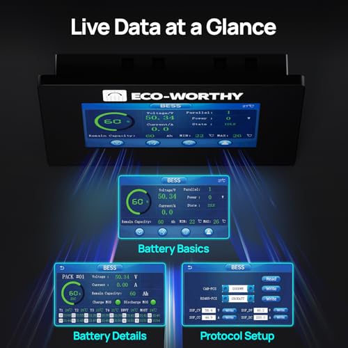 ECO-WORTHY 48V LiFePO4 Battery Monitor with 4.3" Touchscreen, RS232 Interface, Compatible with ECO-WORTHY 48V 100Ah Server Rack Series, Solar DIY Systems, ESM100