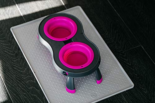 Dexas Pets Double Elevated Pet Feeder, Fuchsia, Small/1 Cup Capacity Bowls (PW1004322405) - color: Fuchsia, size: Small/1 Cup Capacity Bowls