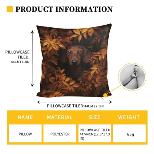 Dachshund Fallen Leaves RV Dinette Cushion Covers Wear-Resistan Camper Cushion Slipcover Elastic 2 Seat Sofa Chair Covers 1 Backrest Cover 1 Bench Cover and 1 Pillowcase - color: Dachshund Fallen Leaves