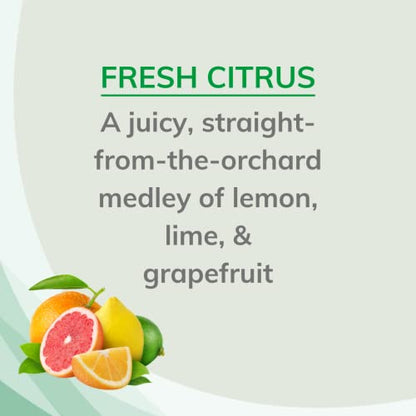 Citrus Magic Natural Odor Eliminating Air Freshener Spray, Fresh Citrus, 3-Ounce (Pack of 4) - size: 3 fluid ounces (Pack of 4)