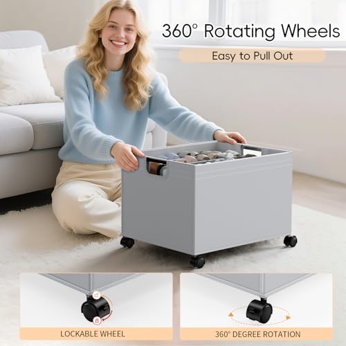HOUSE AGAIN Shoe Organizer for Closet, Foldable Shoe Storage Organizer Box with Wheels and Adjustable Dividers, Sturdy Metal Frame Fits up to 16 Pairs, Large Shoes Storage with Clear Cover - size: 1 Pack