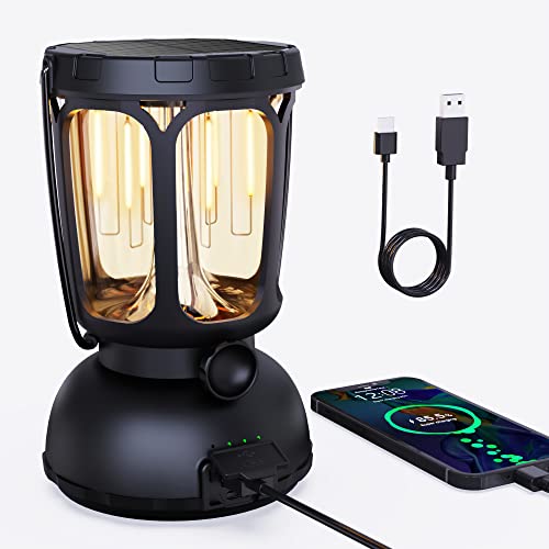 Raynic 6000 LED Camping Lantern Rechargeable, 650LM Hand Crank Solar Camping Light, Portable Battery Powered Lantern for Emergency, Power Outage, Hurricane, Outdoors - size: BLACK