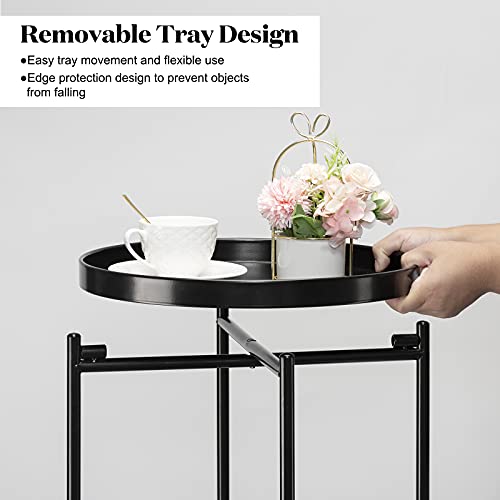danpinera 2-Tier Round Side Table, Metal End Table with Removable Tray, Small Outdoor Table Accent Table, Anti-Rust Black Nightstand for Bedroom Balcony Patio (Black) - color: Black
