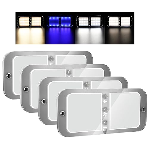BlueFire 800LM RV Ceiling Dome Lights,Dimmable RV Interior LED Lights Sliding Brightness 6W DC12-18V Fixture with Dimmer Switch for RVs, Campers, Motorhomes, Trailers(4 Pack) - color: 4 Color Temp / 4 Pcs