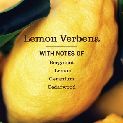 MRS. MEYER'S CLEAN DAY Room Freshener, Lemon Verbena Scent, 8 Ounce Non-Aerosol Spray Bottle (Pack of 3) - size: 8 Fl Oz (Pack of 3)