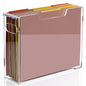 DINGHUO Acrylic File Organizer Box Letter Size Hanging File Organizer, Clear Portable File Folder Box with Handle, Filing Crate Bin Holder for Desk, Office, Home, School - 1 Pack - size: S Letter