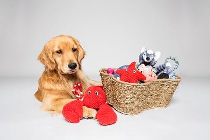 OtterPets Dog Toy Basket, Bone Shaped Dog Toy Bin, Handmade Pet Organizer And Storage, Toy Box for Cats, (17x13 Seagrass) - size: Medium (17x13")