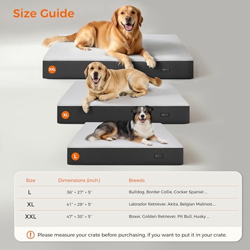 5 Inch Thick Orthopedic Dog Bed for Medium & Large Dogs, High Density Egg Crate Memory Foam with Support Foam, Waterproof Liner & TPU, Removable Washable Cover, Nonskid Bottom, 41"x29"x5", Grey - size: 41''L x 29''W x 5''Th