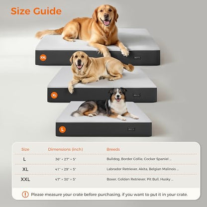 5 Inch Thick Orthopedic Dog Bed for Medium & Large Dogs, High Density Egg Crate Memory Foam with Support Foam, Waterproof Liner & TPU, Removable Washable Cover, Nonskid Bottom, 36"x27"x5", Grey - size: 36''L x 27''W x 5''Th