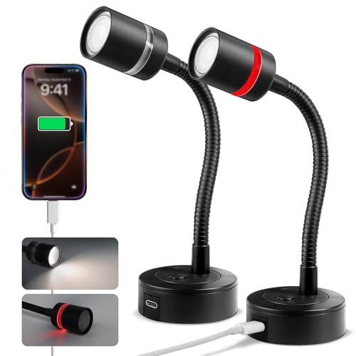 acegoo 12V LED Reading Light, RV Dimmable Reading Lamp with 20W USB-C Charger Red Nightlight & Steel Flexible Neck Light for Boat Camper Van Trailer Interior, Surface Mount, 2-Pack (Standard)