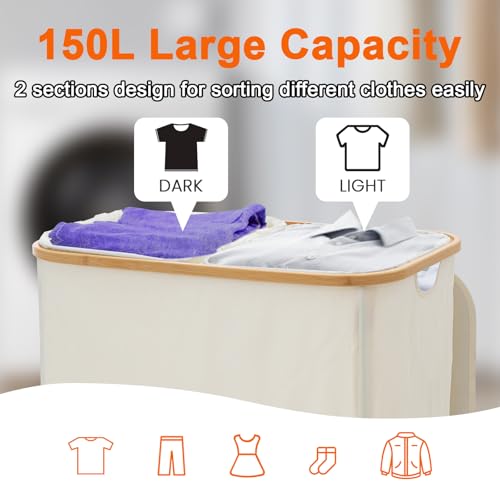 GARPROVM Double Laundry Hamper with Lid 150L Large Laundry Basket with Bamboo Handles Foldable Clothes Hampers with 2 Removable Liner Bags for Laundry for Bedroom Bathroom Dorm Laundry Room (Beige) - color: Beige