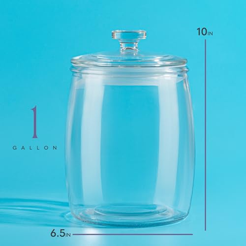 kitchentoolz Large Glass Cookie Jar with Airtight Lid - 1 Gallon Storage Container for Candy, Flour, Sugar, Pet Food & Dog Treat Canister - Pack of 1