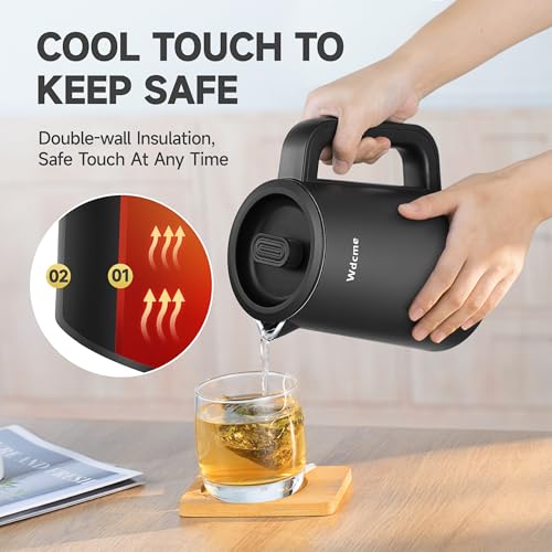 0.6L Small Travel Electric Kettle Portable Smart Tea Coffee Kettle | 800W Rapid Boil,6 Temperature Control,304 Stainless Steel,Dual Voltage 110-240V,12H Keep Warm, Mini Hot Water Boiler