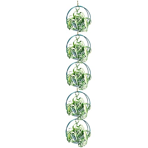 Air Plant Hanging Holder Planter - Plant Hanger Display Frame DIY Kit Aluminum Wire Indoors Outdoors Plants Not Included (Lake Blue) - color: Lake Blue