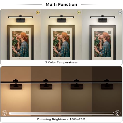 Picture Light Removable Battery Charging, 16in Wireless Art Light for Paintings, Dimmable 5000mAh Recharging Battery Picture Light with Remote Control for Pictures Display - color: Black