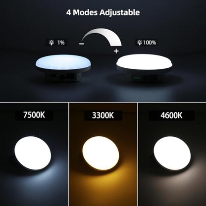 Rechargeable LED Camping Lantern 4000LM with Remote – Tent Light, Warm/Neutral/Cool 3 Modes & Stepless Dimming, IPX5 Waterproof, Magnetic Hook, Portable for Camping & Glamping - size: 30-White(Max)