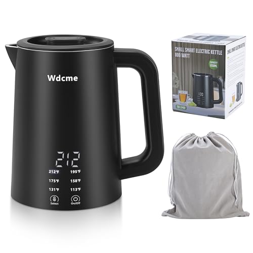0.6L Small Travel Electric Kettle Portable Smart Tea Coffee Kettle | 800W Rapid Boil,6 Temperature Control,304 Stainless Steel,Dual Voltage 110-240V,12H Keep Warm, Mini Hot Water Boiler