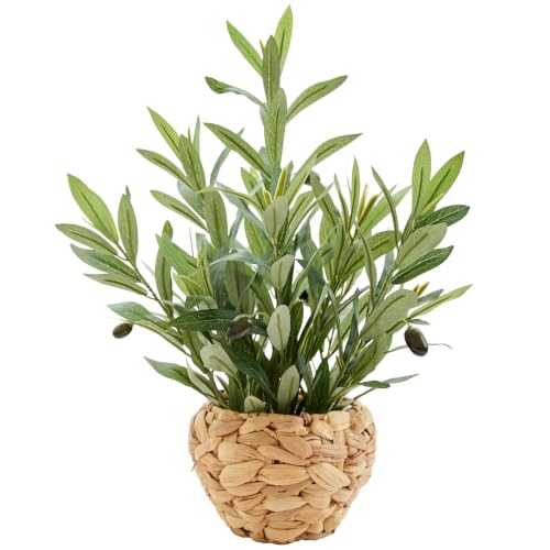 AlphaAcc 17.7" Artificial Olive Plant in Water Hyacinth Basket - Faux Olive Tree for Desk, Office & Mediterranean Decor - color: Artificial Olive Plant17.7"