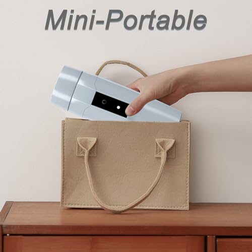 Portable Electric Kettle Boiler, Small Electric Travel Kettle, 300W Fast Water Heater, Mini Electric Tea Coffee Mug for Hotels/Offices/RVs, Automatic Shut-Off & Restart, Elegant Gray - color: Gray 110V/350ml