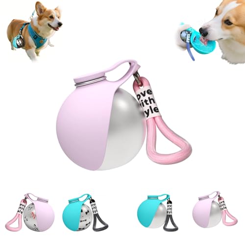 Foldable Pet Water Bottle for Travel, 2 in 1 Portable Dog Water Bottle, Water Bottle for Dogs on Walks, Stainless Steel Bottle & Silicone Bowl, for Walking Hiking Small Dog Water Bottle (Pink) - color: Pink