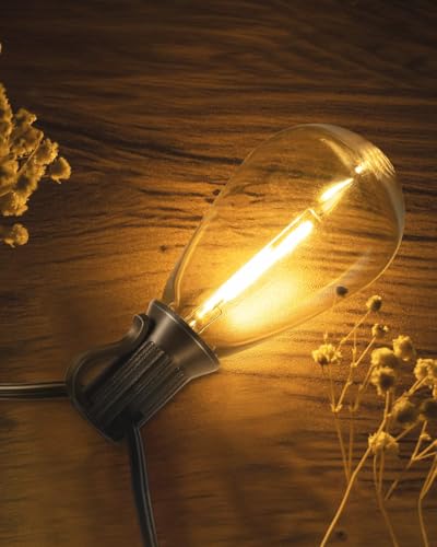 BRIMAX 10FT Outdoor String Lights with 10 Bulbs,ST38 1W Plastic LED Edison Bulbs, Shatterproof, Waterproof String Lights, Perfect for Bistro, Pergola, Backyard and Garden - style: 10FT 10 lights