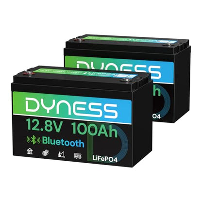 12V 100Ah Bluetooth LiFePO4 Battery(2 pack), Deep Cycle Group 31 Lithium RV Batteries Built-in 100A BMS with Low-Temp Protection, 12.8 Volt Lithium Battery for Rv Camping, Home Solar System, Off-Grid - style: 12v 100Ah Bluetooth(2 Pack)