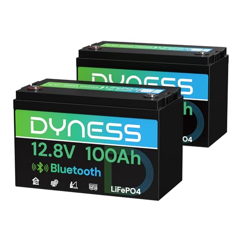 12V 100Ah Bluetooth LiFePO4 Battery(2 pack), Deep Cycle Group 31 Lithium RV Batteries Built-in 100A BMS with Low-Temp Protection, 12.8 Volt Lithium Battery for Rv Camping, Home Solar System, Off-Grid - style: 12v 100Ah Bluetooth(2 Pack)