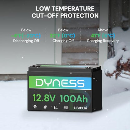 Dyness 12V 100Ah LiFePO4 Lithium Battery (4 Pack) BCI Group 31 with Low-Temp Protection, A+ Grade Cell Built-in 100A BMS, 12 Volt Lithium Battery Perfect for RV, Solar System, Off-Grid, Home Energy - style: 12V 100Ah Group 31(4 Pack)