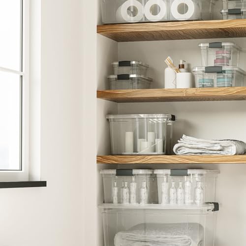 Superio Deep Storage Organizer Bin with Lid X-Deep Small Clear Storage Box with Latch for Home, Kitchen, Garage- Store, Food, Supplies, and Hair Accessories (4.75 Quart) - size: 4.75 Qt