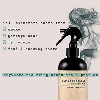Air Essentials 12 oz Air Freshener & Odor Eliminator Spray - Neutralize Odors from Smoke, Pets, Food & Garbage in Homes, Offices & Cars - Made with Clean Essential Oils (Eucalyptus Mint, 2-Pack)