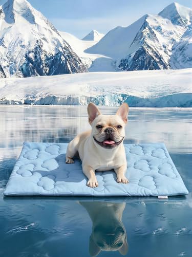 Huafly Dog Cooling Mat,Dual-Sided Cooling Mat for Dogs–Cooling Fabric for Summer,Velvet for All Seasons–Portable for Crate,Car Seat,Sofa&Floor,Machine Washable,Keeps Cats,Dogs&Puppies Cool,Cloud Blue - size: M: 36.0" L x 23.0" W x 0.8"Th