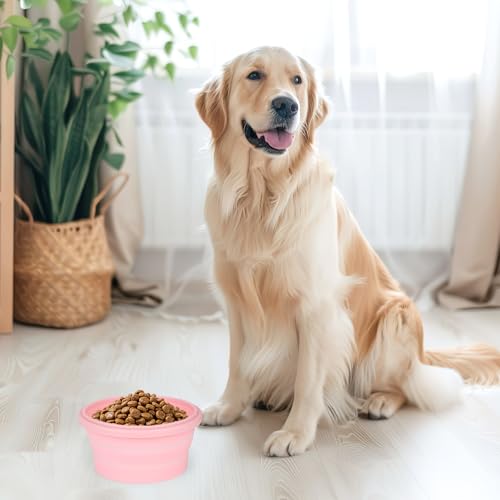 2pcs Collapsible Dog Bowls, Silicone Food & Water Travel Bowl with Lid Portable Expandable Pet Feeding & Drinking Cup/Saucer for Walking, Kennels, and Camping 350ml (Pink) - color: Pink