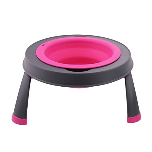 Dexas Popware for Pets Single Elevated Pet Feeder, Small, Gray/Pink - color: Gray/Pink, size: Small/1.5 Cup Capacity