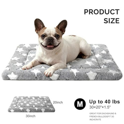 Dog Bed Mat, Reversible Crate Pad & Durable Dog Bed - Machine Washable Kennel Mat with Ultra Soft for Medium Dogs (Cool/Warm), 30" x 20", Grey&Star - color: Grey&Star, size: 30"L*20"W*1.5"Th