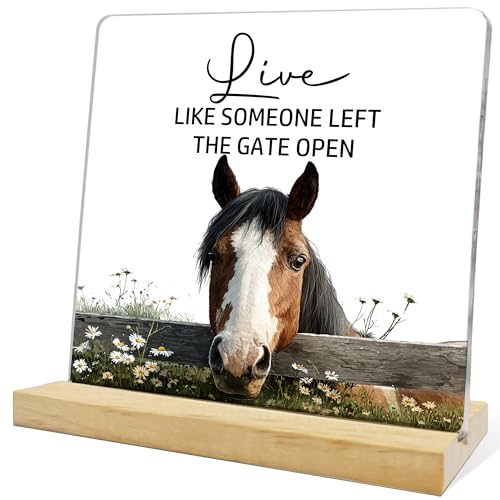 Inspirational Horse Gifts for Women,Live Like Someone Acrylic Plaque,Motivational Horse Sign for Office Shelf Home Living Room Desk Decor - color: Gray