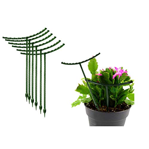 Belit 8 Pack Plant Supports for Small Plants, Garden Flowers Green Plant Support Ring, Planter Support Ring for Schlumbergera, Clivia, Succulents, 5.5" Wide x 5.9" High - size: 5.5" x 5.9"