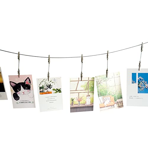 TFu Wall Hanging Photo Display, DIY Picture Photo Frame String with 12 Clips for Hanging Photos Notes and Artworks (Adjustable Alligatory Clip) - size: Adjustable Alligatory Clip