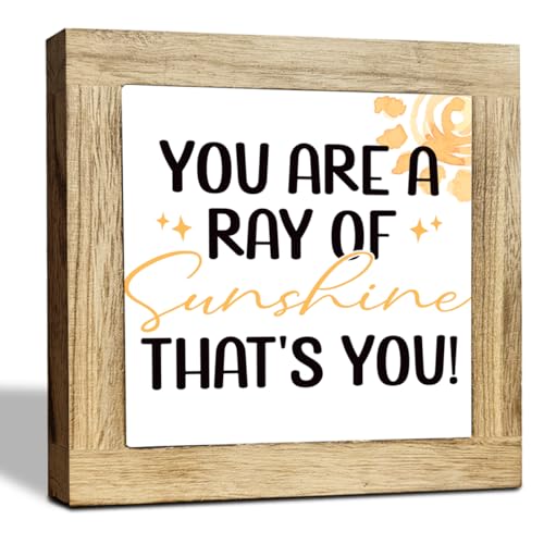 You Are A Ray Of Sunshine Coaster - Friendship Gift, Funny Thank You Gift, Positivity, Funny Home Decor, Box Wood Plaques Desk Décor, Rustic Farmhouse Decor for the Home Sign, Housewarming Gifts - color: Decorate 15