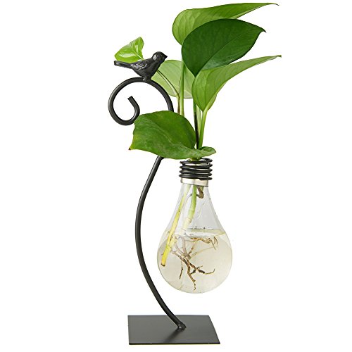 Marbrasse Desktop Glass Planter Hydroponics Vase,Planter Bulb Vase with Holder for Home Decoration,Modern Creative Bird Plant Terrarium Stand, Scindapsus Container (Bulb Vase) - color: Bulb Vase