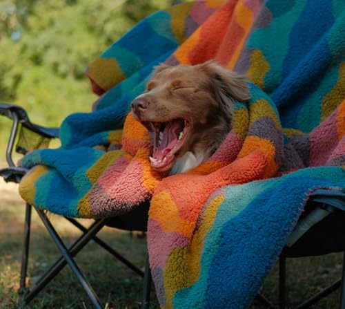 Wilderdog Sherpa Fleece Waterproof Dog Blanket - 60" x 90" - Canyon - color: Canyon Orange, size: 60” x 90”