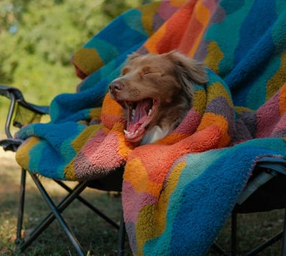 Wilderdog Sherpa Fleece Waterproof Dog Blanket - 60" x 90" - Canyon - color: Canyon Orange, size: 60” x 90”